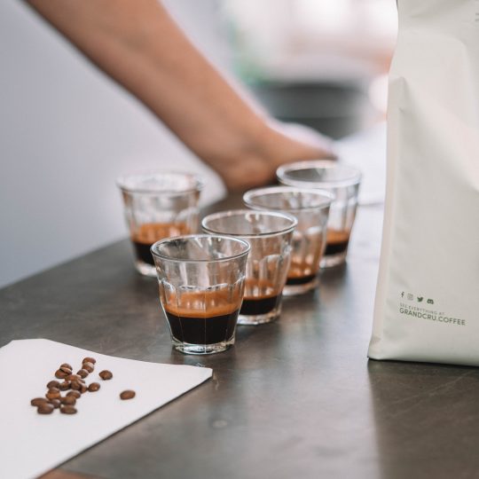 Blend Sampler-thumbmail-2