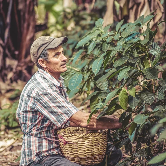 Farmer Nicaragua - Madriz 1000w