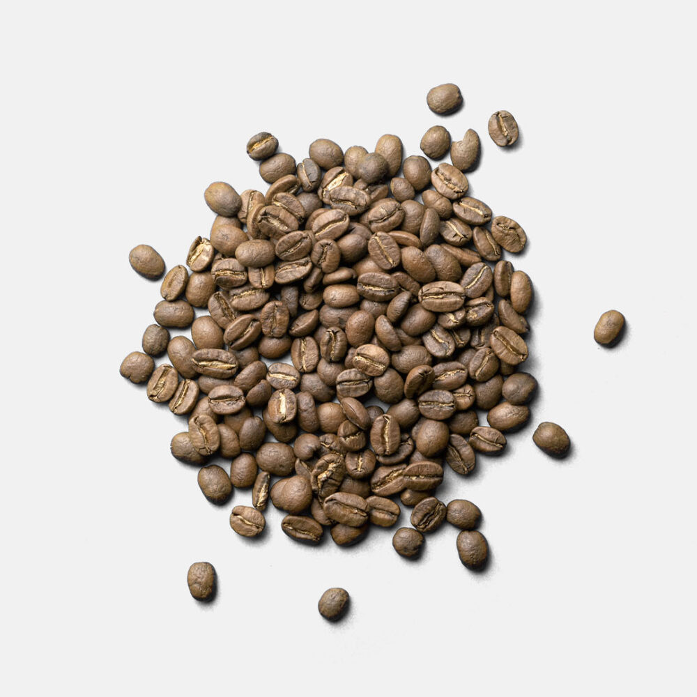GC-SO-PerKon Beans 1080 x 1350