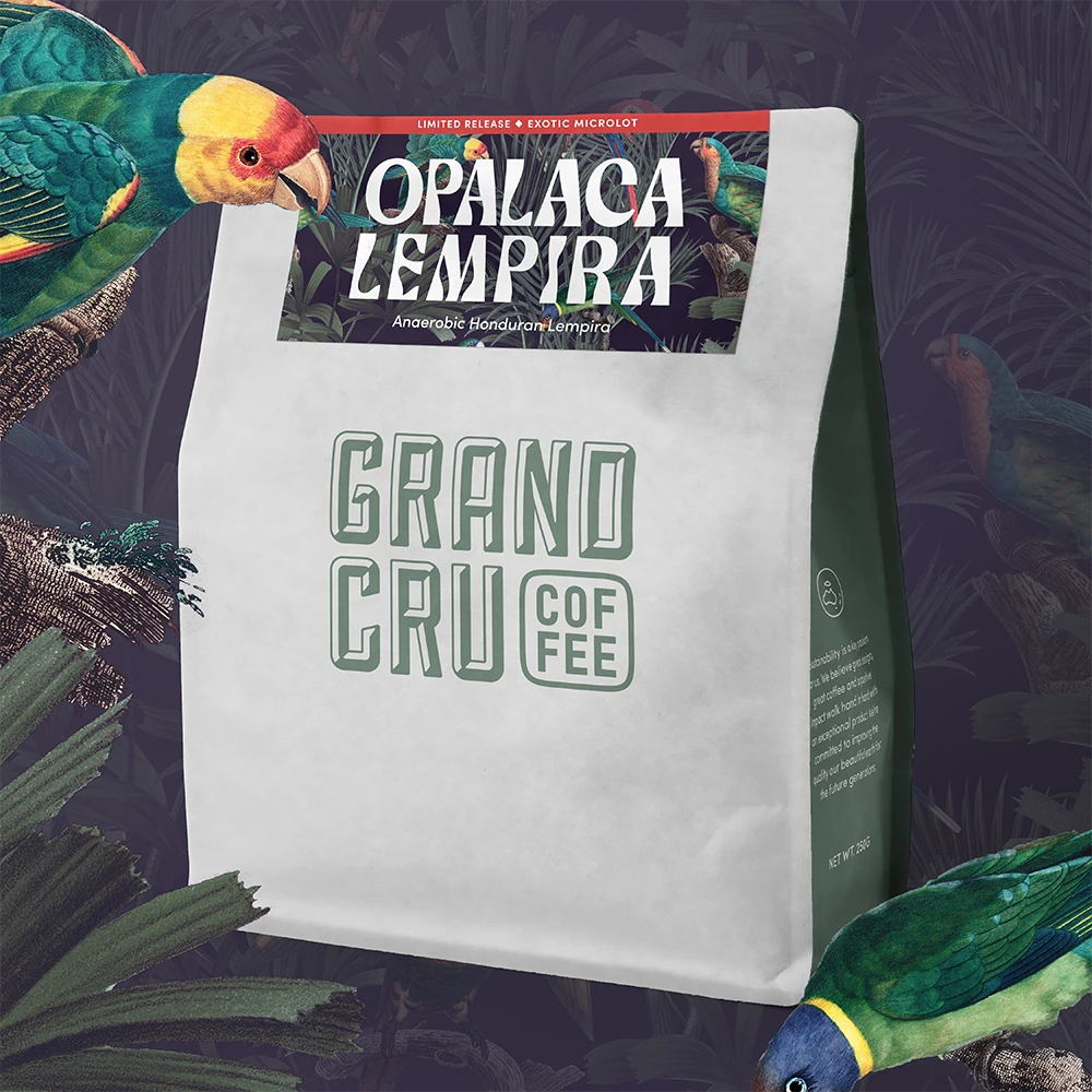 Honduras Opalaca Lempira Microlot