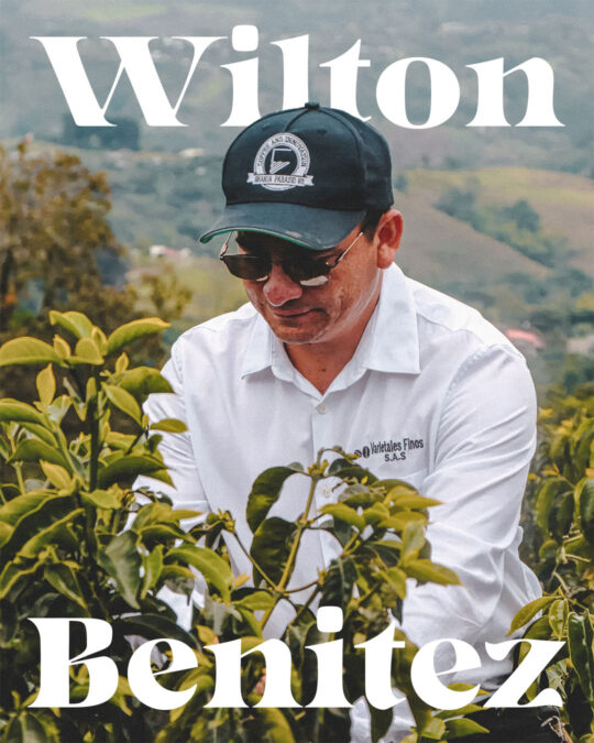 Wilton Benitez - 1080 x 1350 WEB
