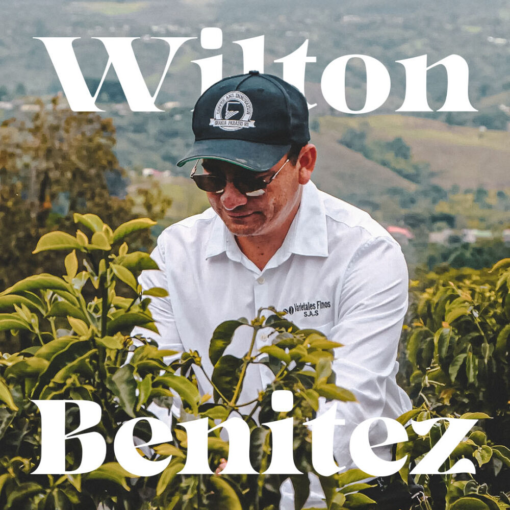 Wilton Benitez - 1080 x 1350 WEB Updated