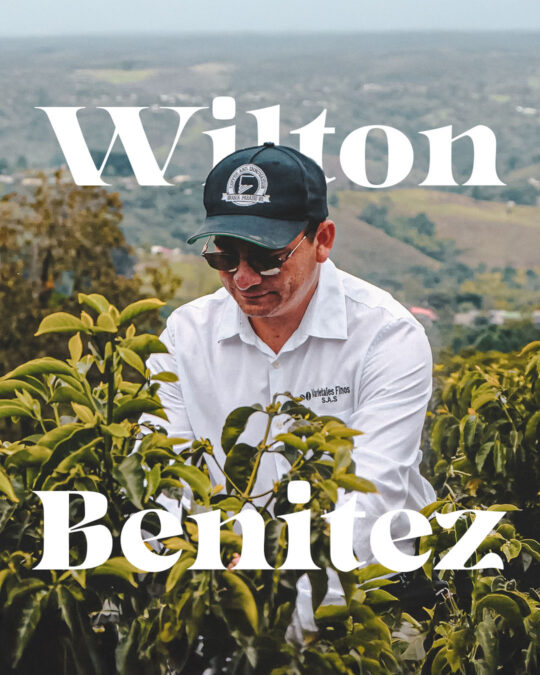 Wilton Benitez - 1080 x 1350 WEB Updated